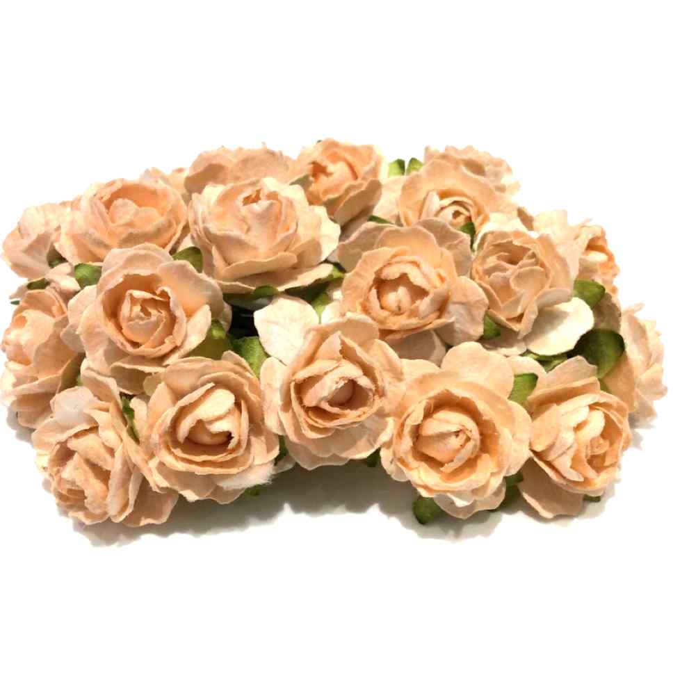Apricot Tattered Mulberry Paper Roses Tr015
