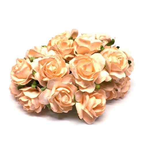Apricot Classic Mulberry Paper Roses Cr049