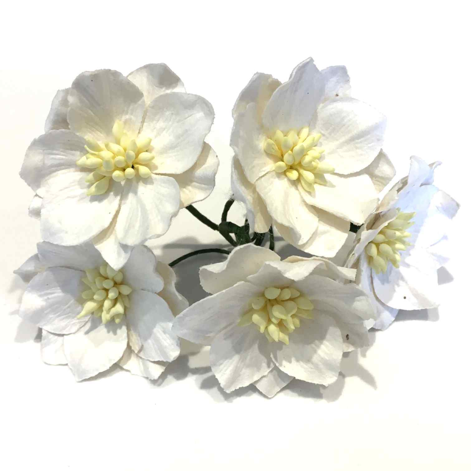 White Mulberry Paper Hellebores H005