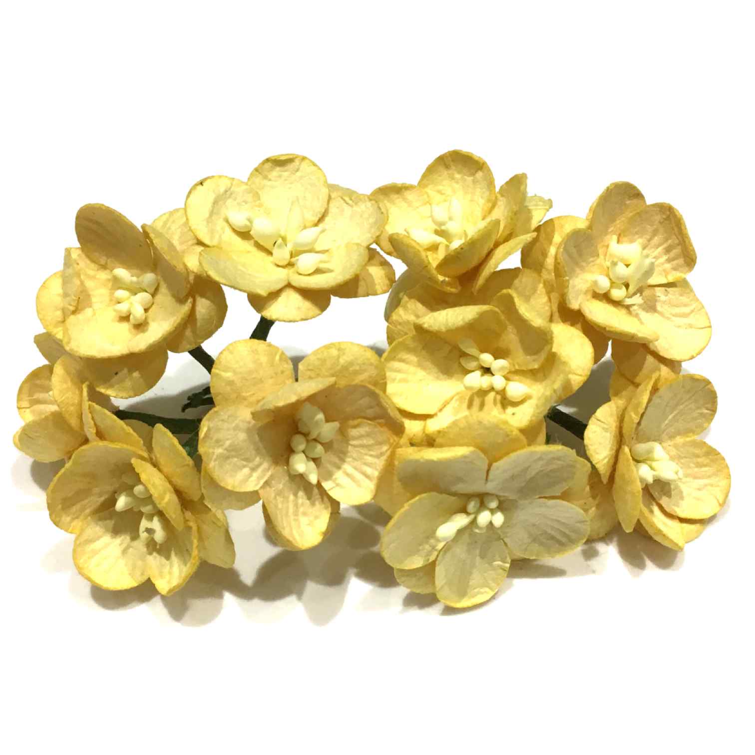 Golden Yellow Mulberry Paper Cherry Blossom Bl052