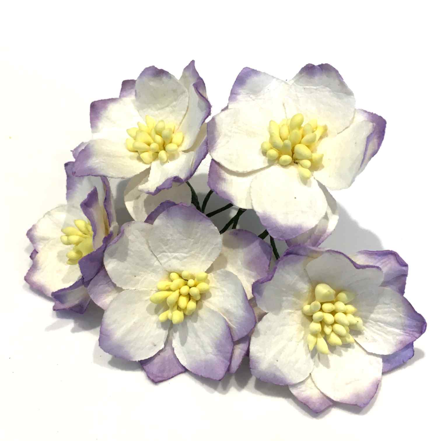 White And Lavender Mulberry Paper Hellebores H001