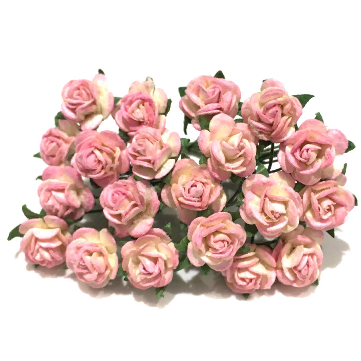Pale Pink And Cream Open Mulberry Paper Roses Or021