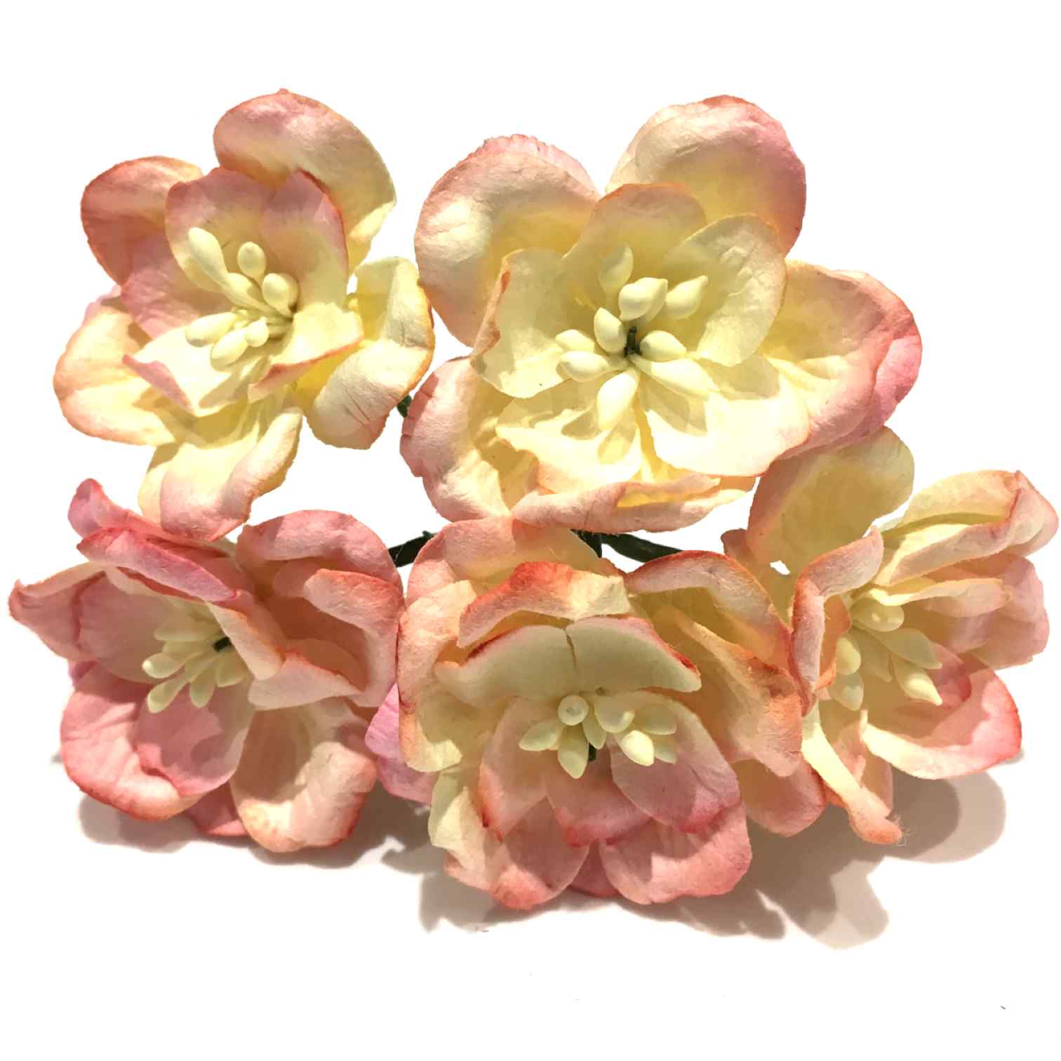 CORALINE Mulberry Paper Magnolias MAG007