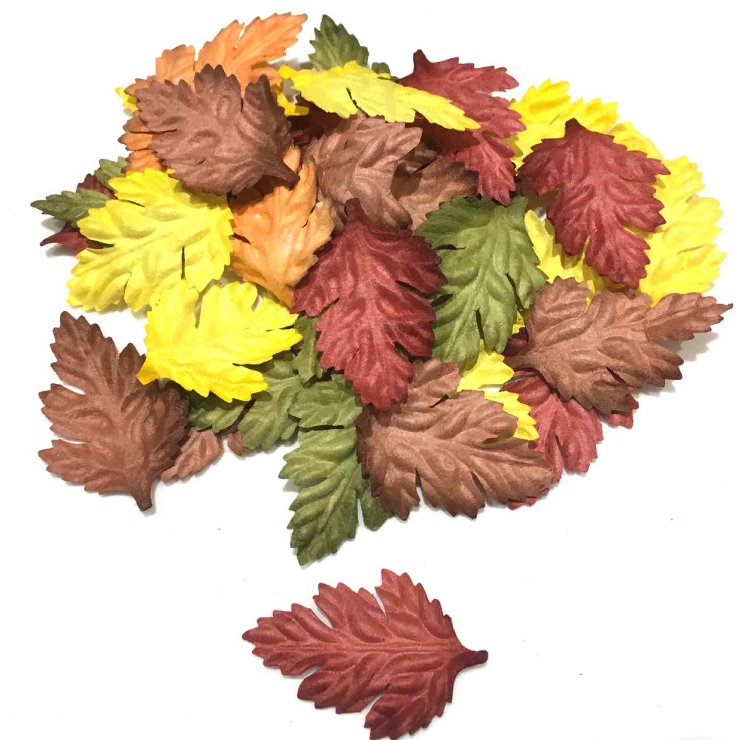 Bright Mix Oak Mulberry Paper Leaves Leaf24