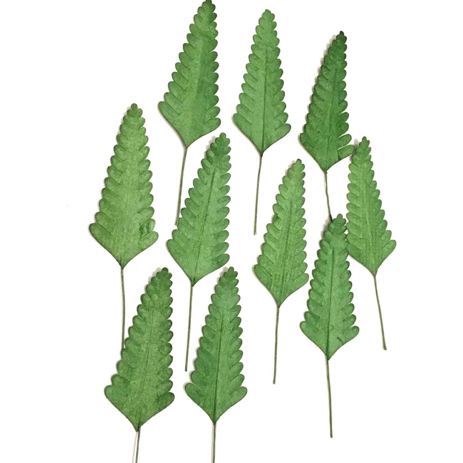 Fern Mulberry Paper Leaves Light Green Leaf03