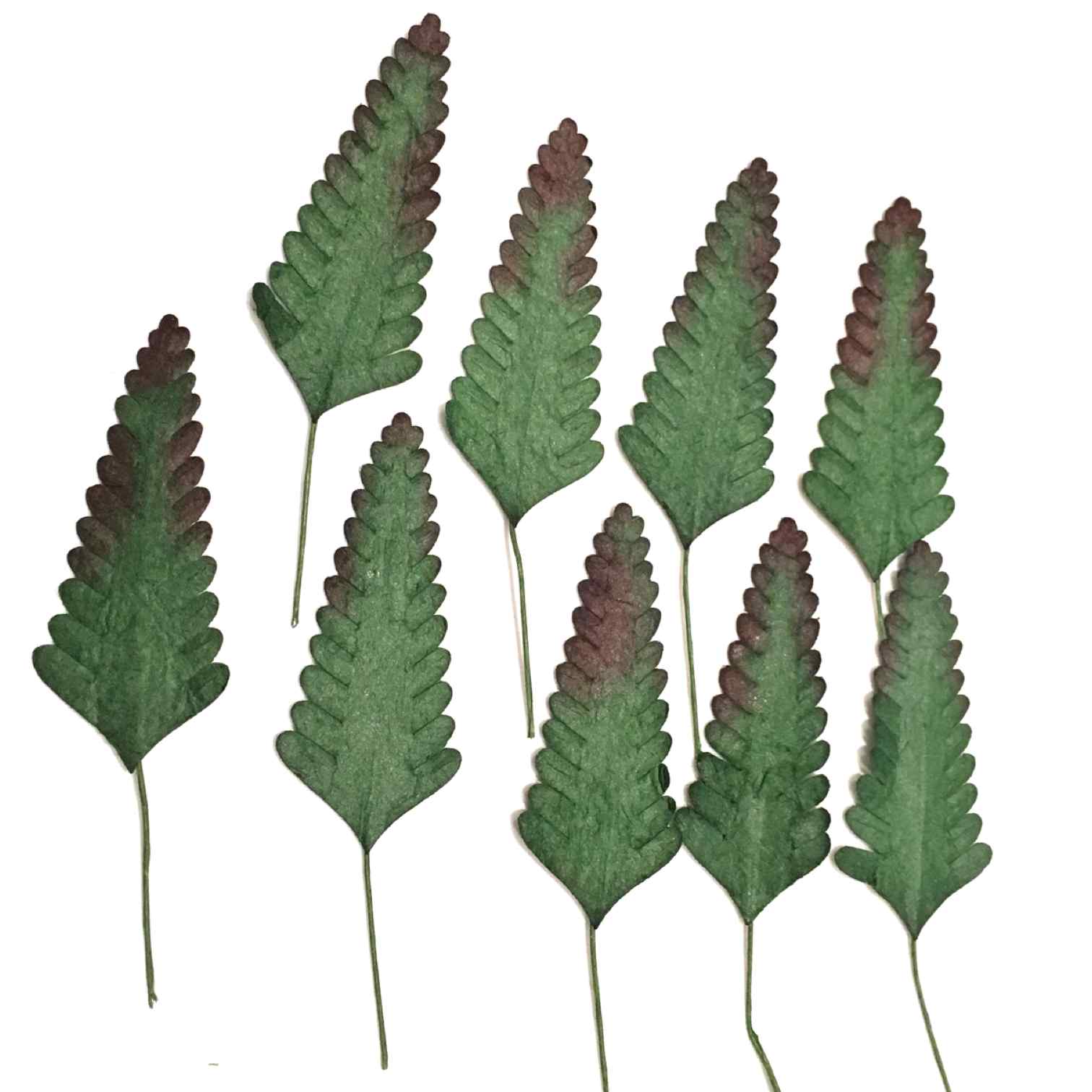 Fern Mulberry Paper Leaves Dark Green Leaf04