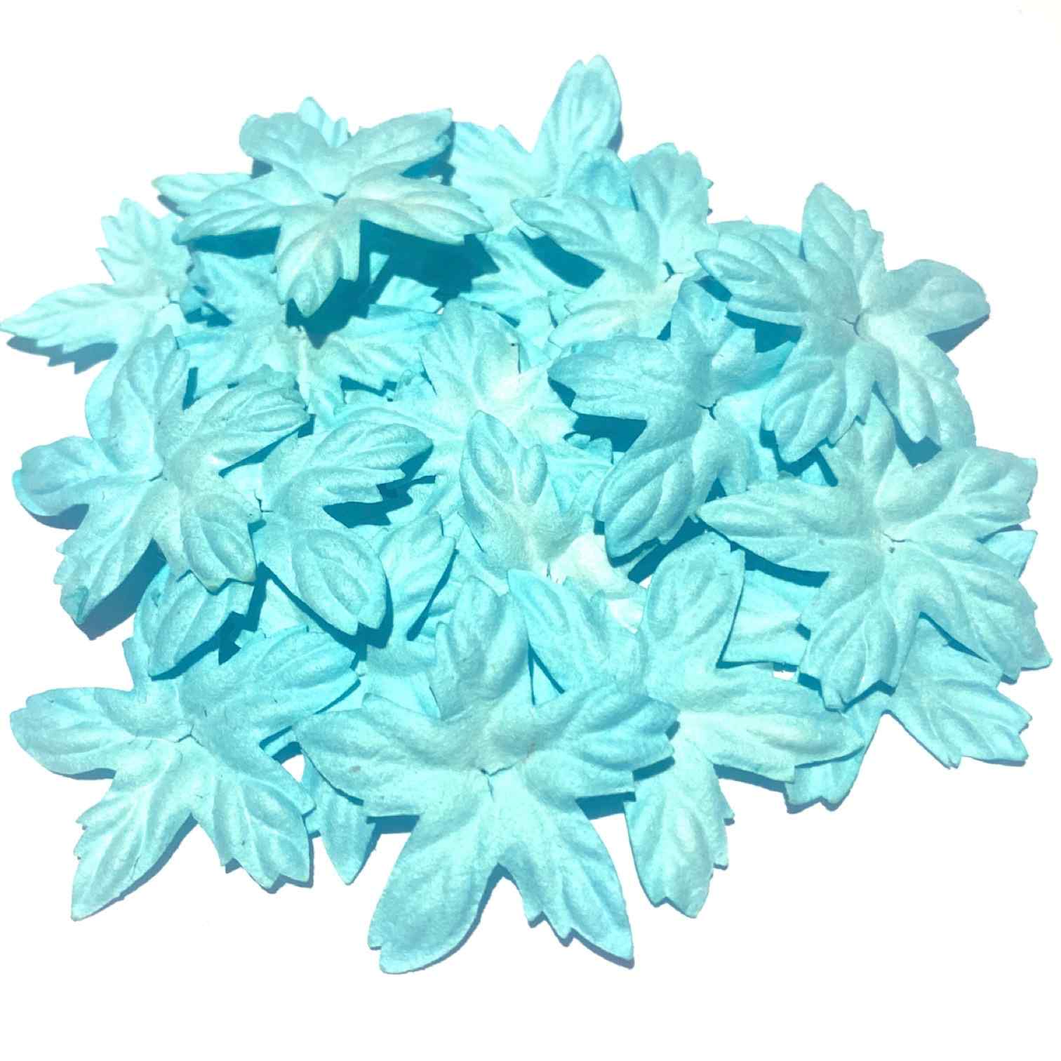 Aqua Blooms Pbc024