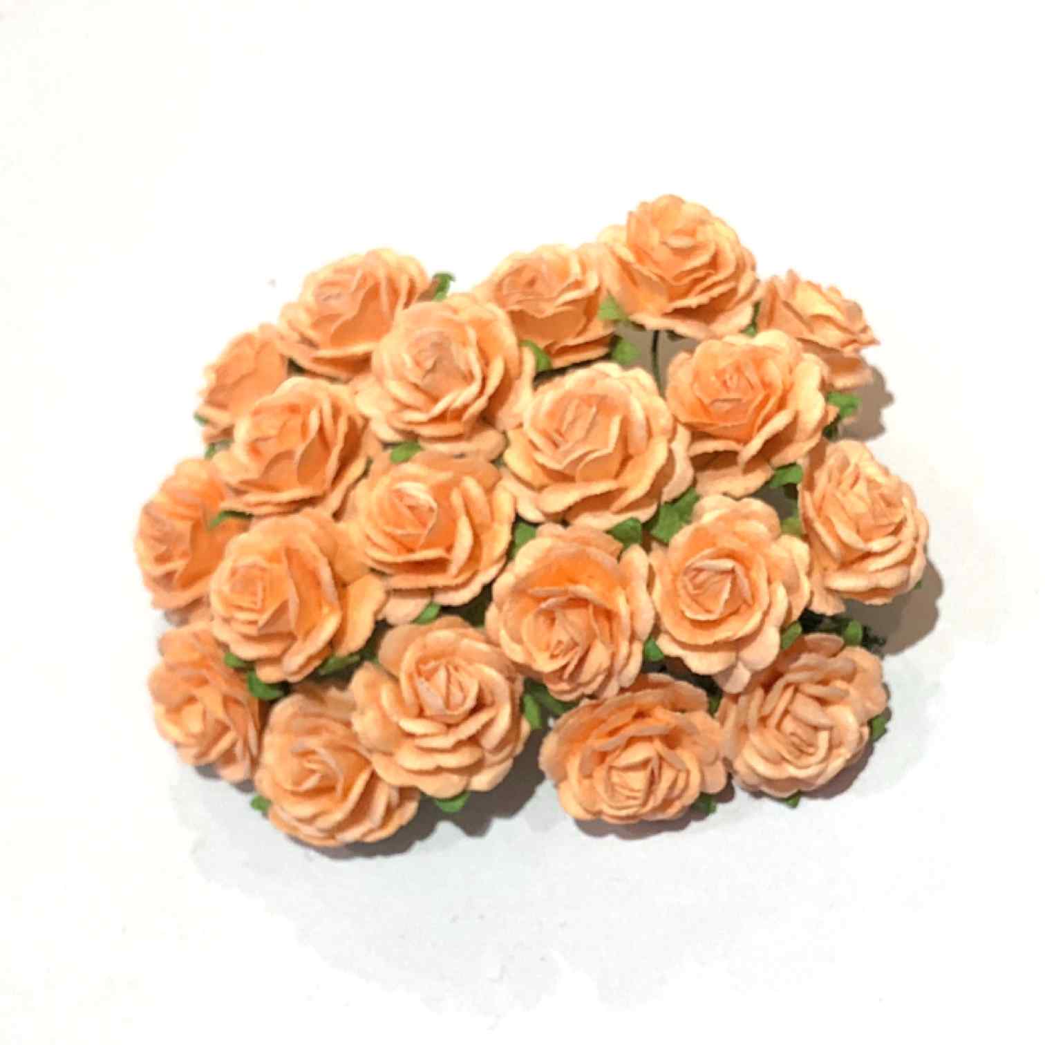 Apricot Open Mulberry Paper Roses Or065