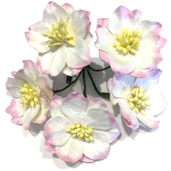 White And Pink Mulberry Paper Hellebores H002
